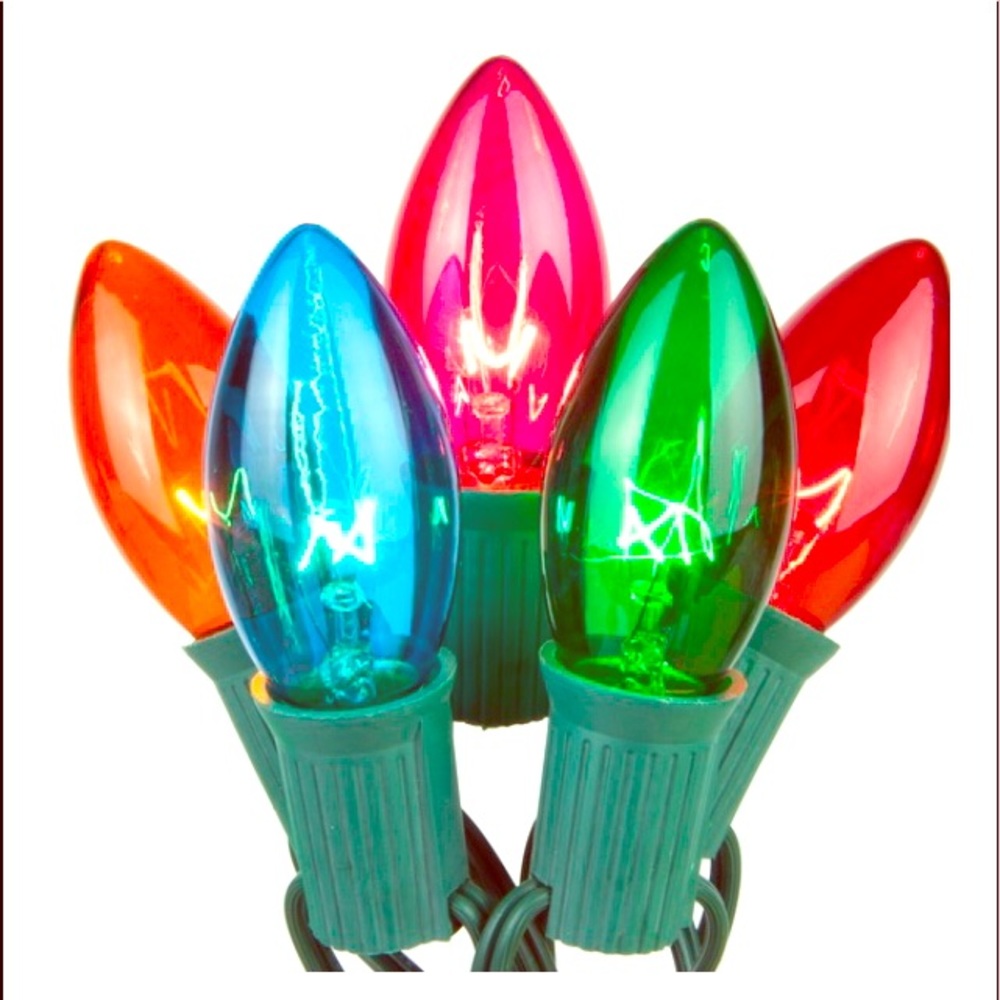 NIB-Holiday Multi Color Lights